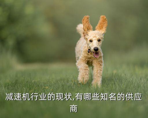 中國高速傳動設(shè)備集團(tuán)
