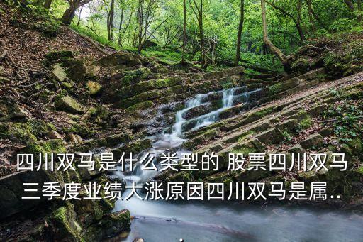 四川雙馬是什么類型的 股票四川雙馬三季度業(yè)績大漲原因四川雙馬是屬...