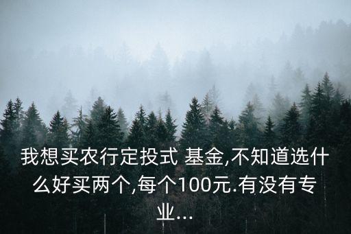 我想買農(nóng)行定投式 基金,不知道選什么好買兩個,每個100元.有沒有專業(yè)...