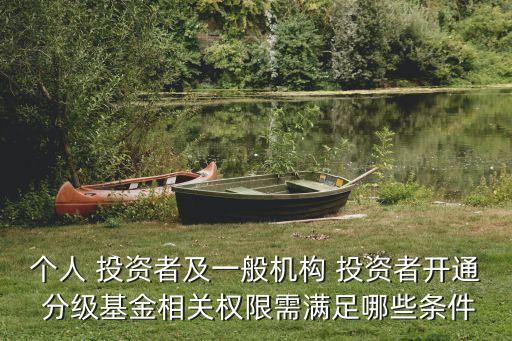 個(gè)人 投資者及一般機(jī)構(gòu) 投資者開通 分級(jí)基金相關(guān)權(quán)限需滿足哪些條件