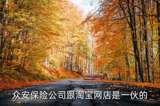 眾安保險公司跟淘寶網店是一伙的