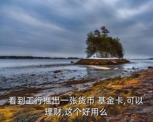 看到工行推出一張貨幣 基金卡,可以理財,這個好用么