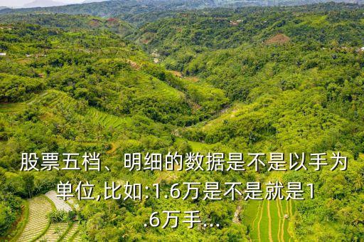 股票五檔、明細(xì)的數(shù)據(jù)是不是以手為 單位,比如:1.6萬是不是就是1.6萬手...