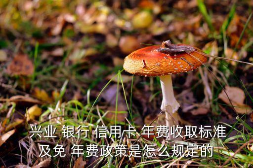  興業(yè) 銀行 信用卡 年費(fèi)收取標(biāo)準(zhǔn)及免 年費(fèi)政策是怎么規(guī)定的