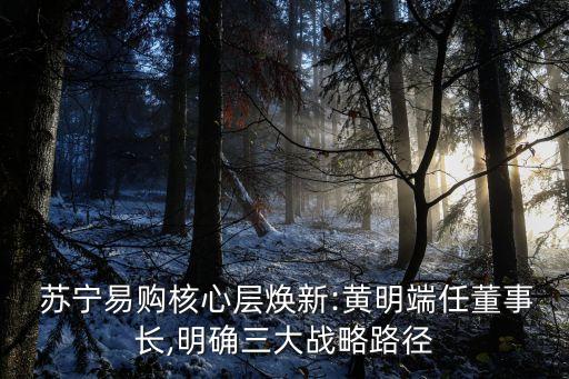  蘇寧易購核心層煥新:黃明端任董事長(zhǎng),明確三大戰(zhàn)略路徑