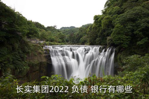長實集團(tuán)2022 負(fù)債 銀行有哪些