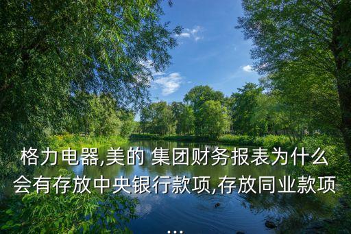 美的集團(tuán)籌資方式