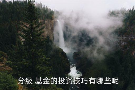  分級(jí) 基金的投資技巧有哪些呢