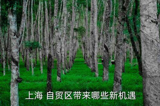 上海 自貿區(qū)帶來哪些新機遇