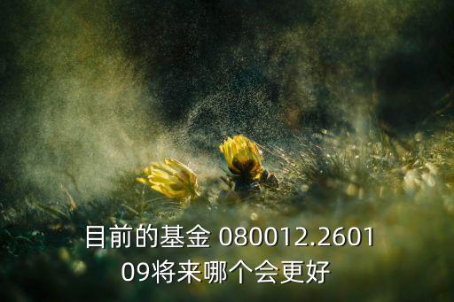 目前的基金 080012.260109將來哪個會更好
