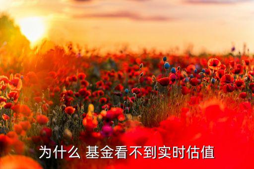 為什么 基金看不到實時估值