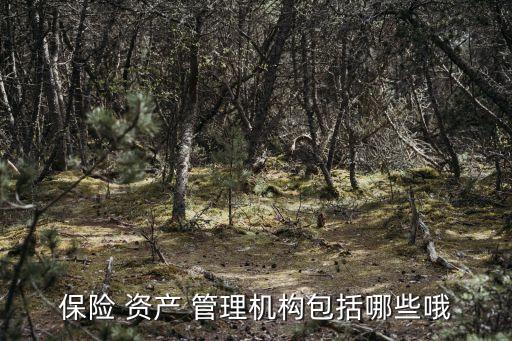 保險(xiǎn) 資產(chǎn) 管理機(jī)構(gòu)包括哪些哦
