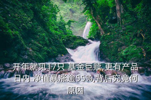 開年就見17只 基金巨贖,更有產(chǎn)品日內(nèi) 凈值暴漲逾55%,背后究竟何原因
