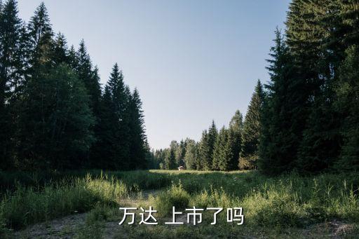  萬達(dá) 上市了嗎