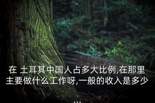 在 土耳其中國人占多大比例,在那里主要做什么工作呀,一般的收入是多少...