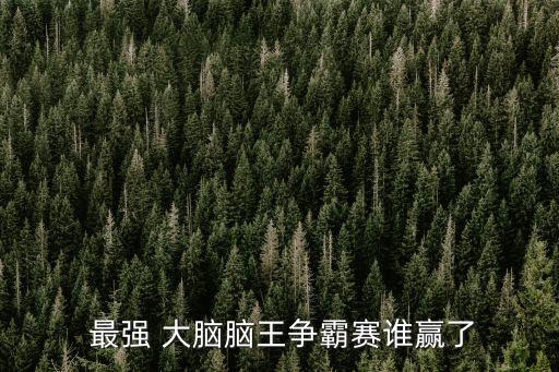  最強(qiáng) 大腦腦王爭(zhēng)霸賽誰(shuí)贏了