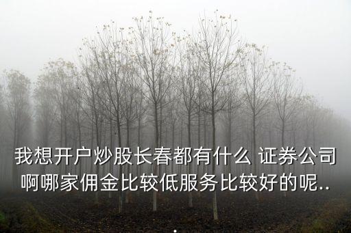 我想開(kāi)戶炒股長(zhǎng)春都有什么 證券公司啊哪家傭金比較低服務(wù)比較好的呢...