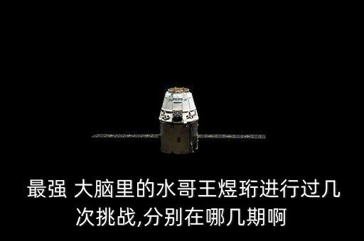  最強(qiáng) 大腦里的水哥王煜珩進(jìn)行過(guò)幾次挑戰(zhàn),分別在哪幾期啊