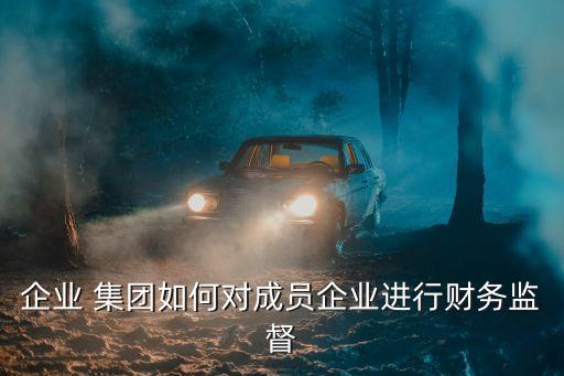 企業(yè) 集團(tuán)如何對(duì)成員企業(yè)進(jìn)行財(cái)務(wù)監(jiān)督