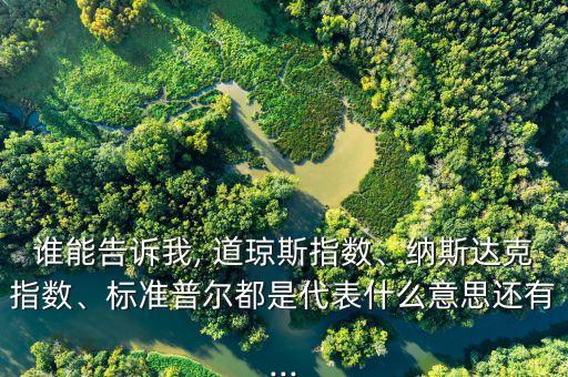 誰能告訴我, 道瓊斯指數(shù)、納斯達(dá)克指數(shù)、標(biāo)準(zhǔn)普爾都是代表什么意思還有...