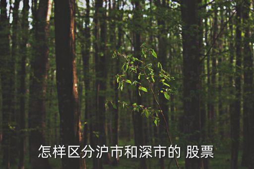 深證股票是什么開頭的,深證100是什么意思是哪些股票