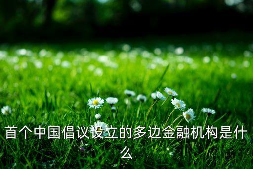 首個中國倡議設(shè)立的多邊金融機構(gòu)是什么