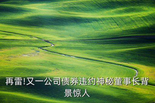 再雷!又一公司債券違約神秘董事長背景驚人