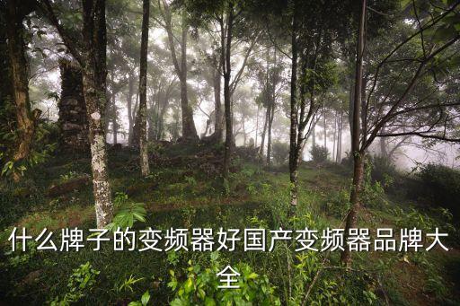 中國自動化集團有限公司