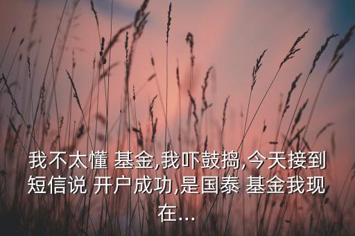 我不太懂 基金,我嚇鼓搗,今天接到短信說 開戶成功,是國(guó)泰 基金我現(xiàn)在...