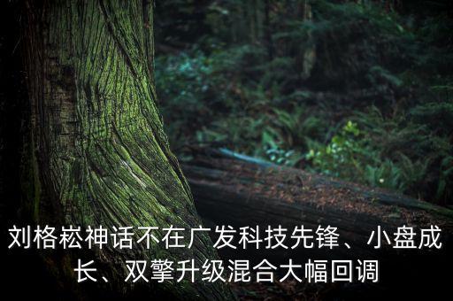 劉格崧神話不在廣發(fā)科技先鋒、小盤(pán)成長(zhǎng)、雙擎升級(jí)混合大幅回調(diào)