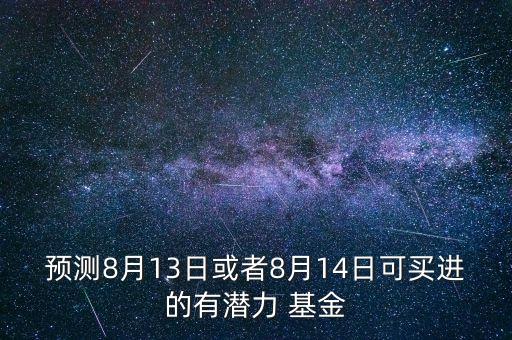 預(yù)測8月13日或者8月14日可買進的有潛力 基金