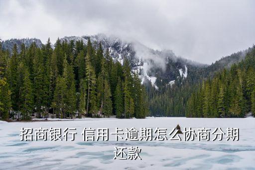 招商銀行信用卡容時容差