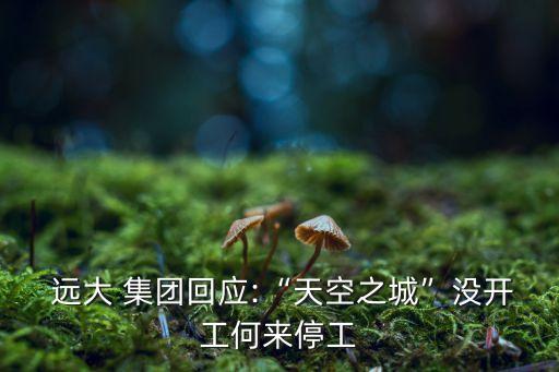  遠大 集團回應:“天空之城”沒開工何來停工