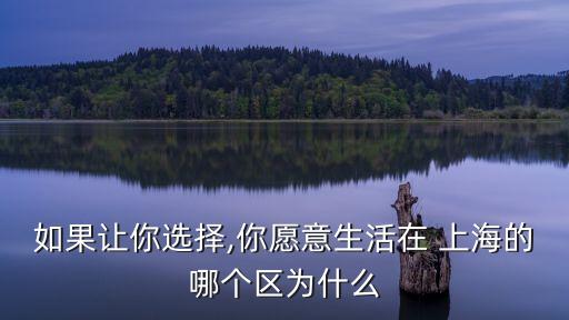 如果讓你選擇,你愿意生活在 上海的哪個(gè)區(qū)為什么