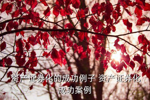  資產證券化的成功例子 資產證券化成功案例