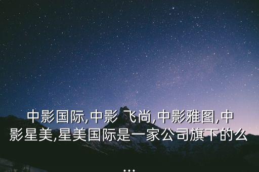 飛尚能源集團(tuán),飛尚集團(tuán)是500強嗎