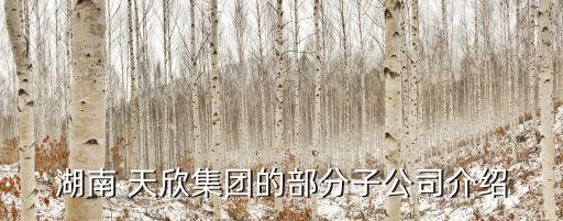 湖南 天欣集團的部分子公司介紹