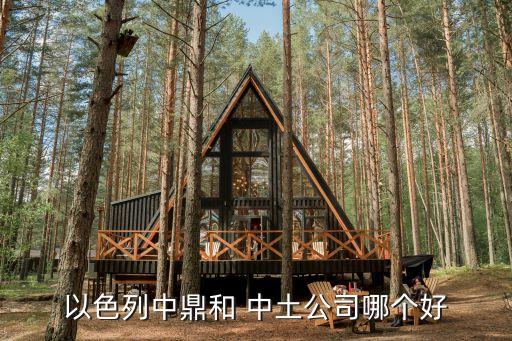 以色列中鼎和 中土公司哪個(gè)好