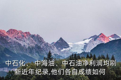 中石化、 中海油、中石油凈利潤均刷新近年紀(jì)錄,他們各自成績?nèi)绾? class=
