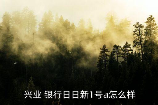  興業(yè) 銀行日日新1號(hào)a怎么樣