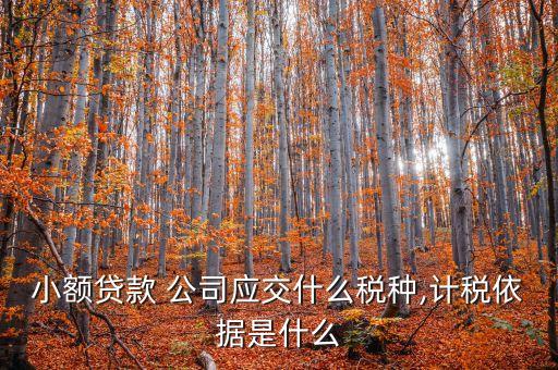小貸公司企業(yè)所得稅,公司的企業(yè)所得稅怎么計(jì)算