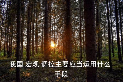 我國 宏觀 調(diào)控主要應(yīng)當(dāng)運(yùn)用什么 手段