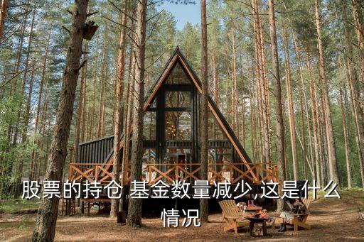 股票的持倉(cāng) 基金數(shù)量減少,這是什么情況