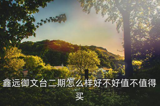 鑫遠(yuǎn)御文臺(tái)二期怎么樣好不好值不值得買