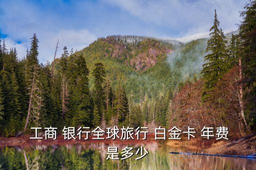  工商 銀行全球旅行 白金卡 年費是多少