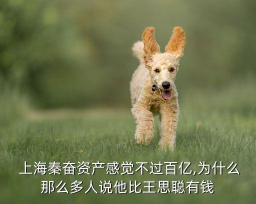  上海秦奮資產(chǎn)感覺不過百億,為什么那么多人說他比王思聰有錢