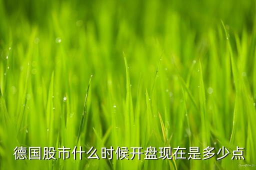 德國股票交易制度,股票交易制度與規(guī)則