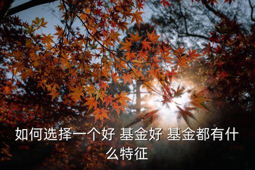 如何選擇一個好 基金好 基金都有什么特征