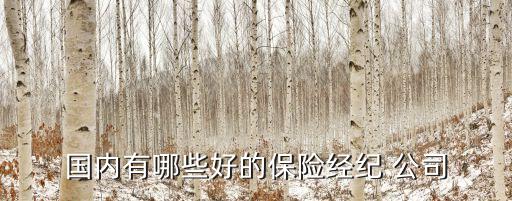 國內(nèi)有哪些好的保險經(jīng)紀(jì) 公司