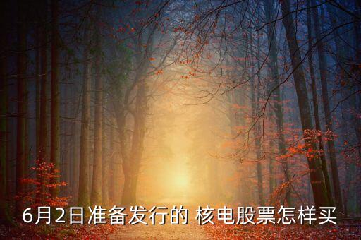中國(guó)核電申購(gòu)代碼